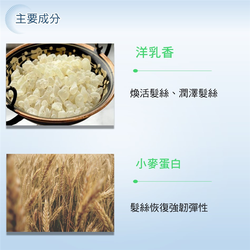 洋乳香保濕洗髮露