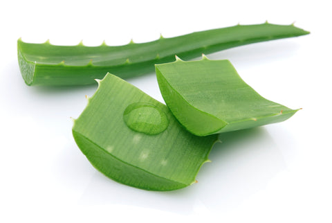 修復頭髮精華 